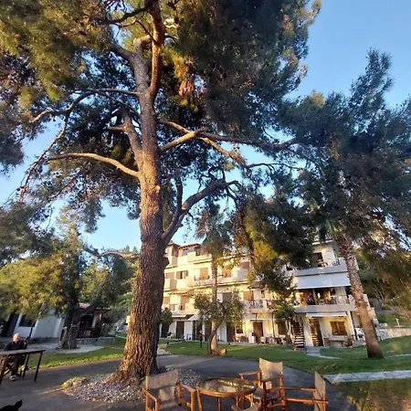 A. & C. Michailidi *