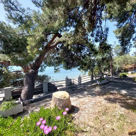 A. & C. Michailidi Neos Marmaras