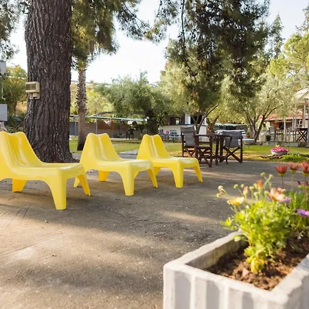 Daire A. & C. Michailidi *