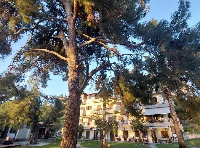 A. & C. Michailidi *