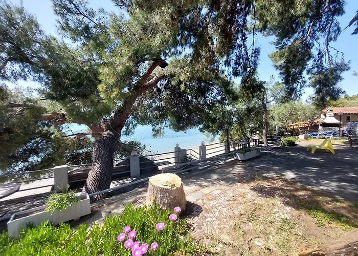 A. & C. Michailidi Neos Marmaras